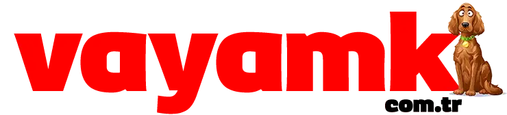 Vayamk - Sosyal İçerik Platformu